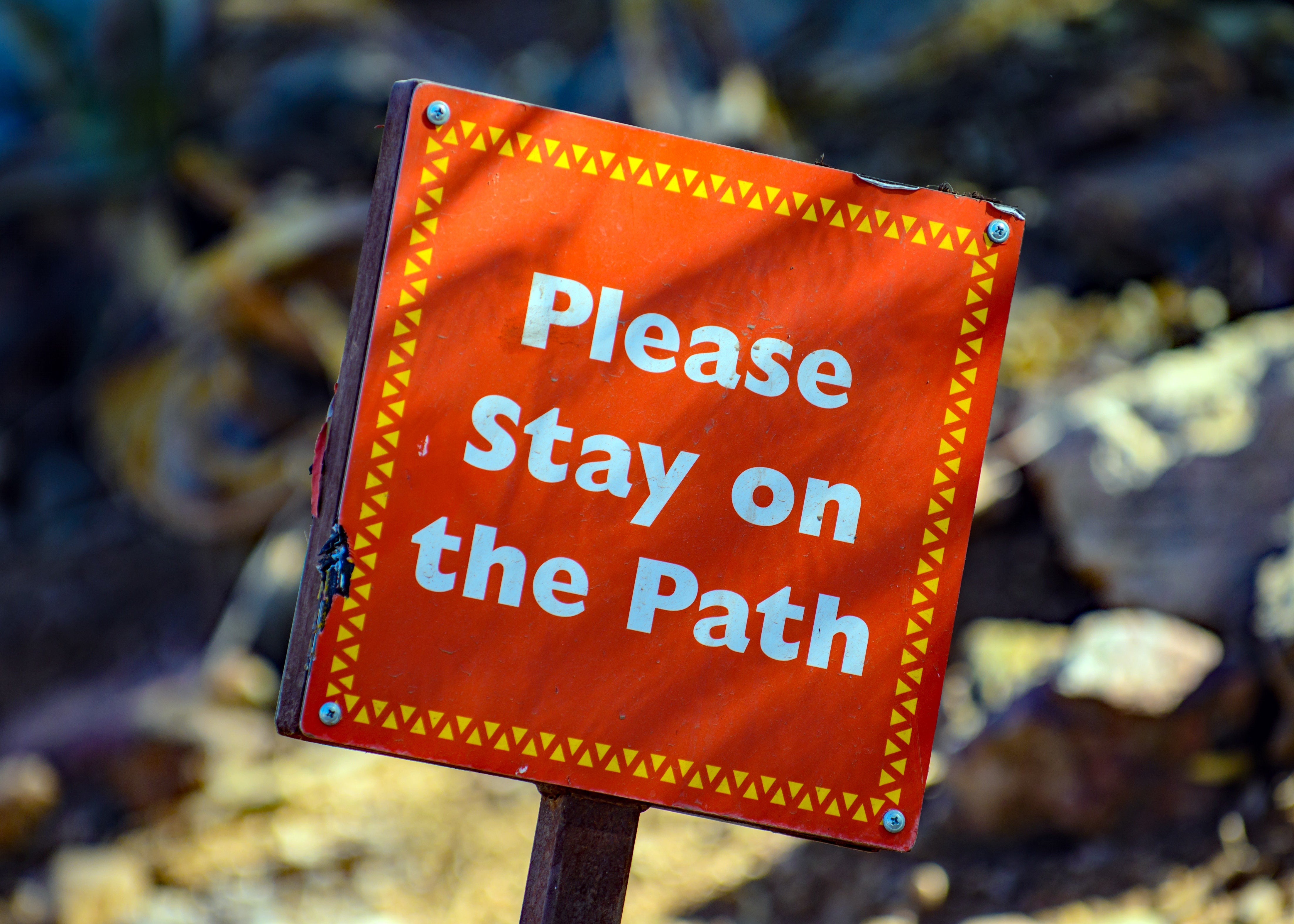 19 Definitions Of Success You Should Never Ignore