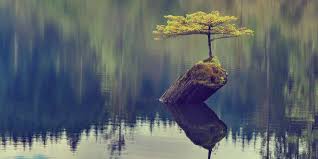 The Mindset Reset – Training Your Thoughts for Resilience