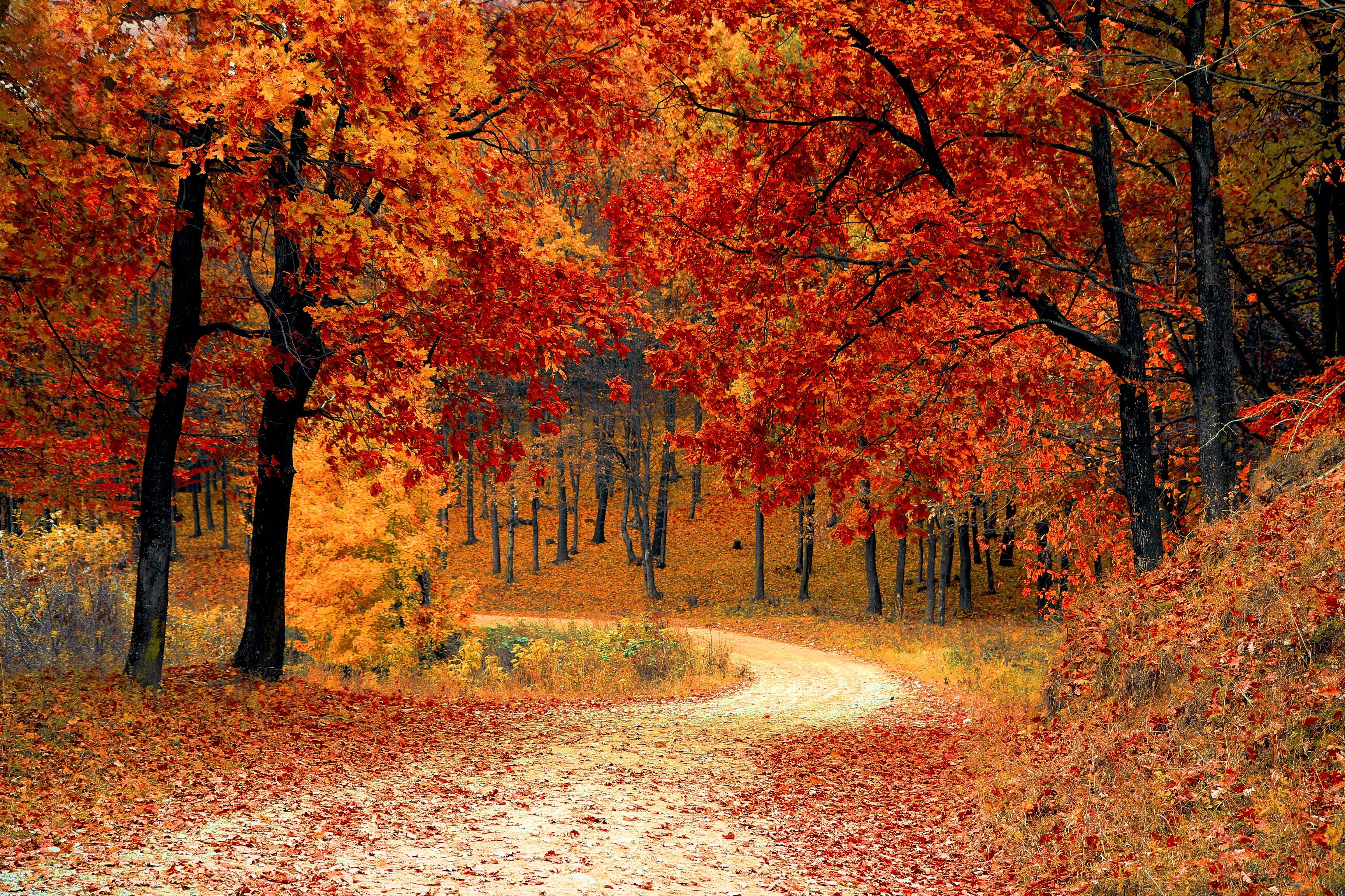 Navigating Change and Uncertainty with Mental Training & Hypnosis
