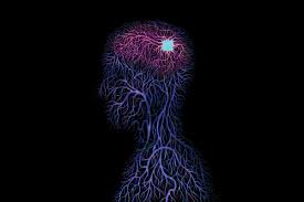 Harnessing the Power of Your Thoughts with Mental Training