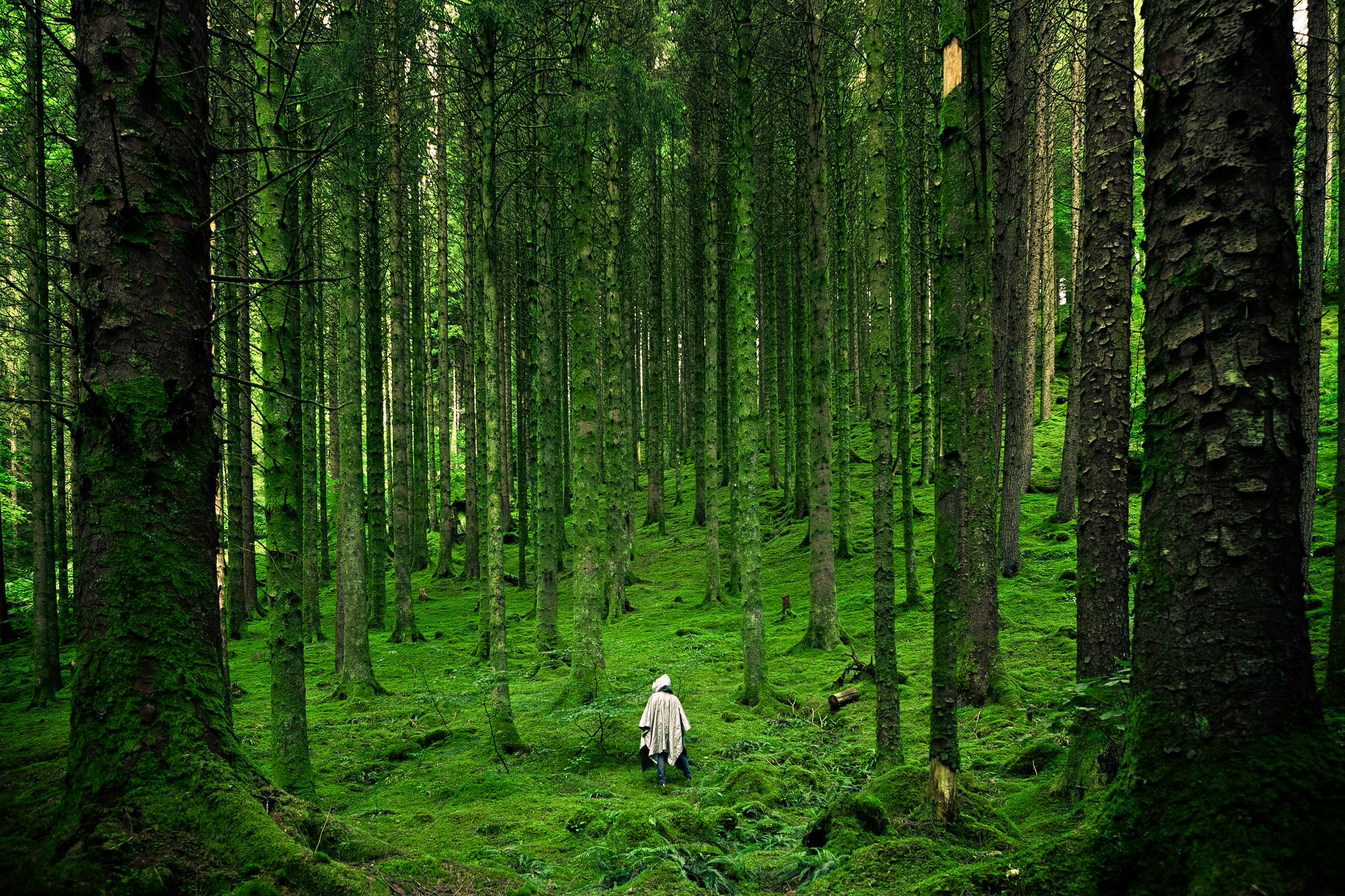 The Stillness Within: Cultivating Calm through Breath Awareness