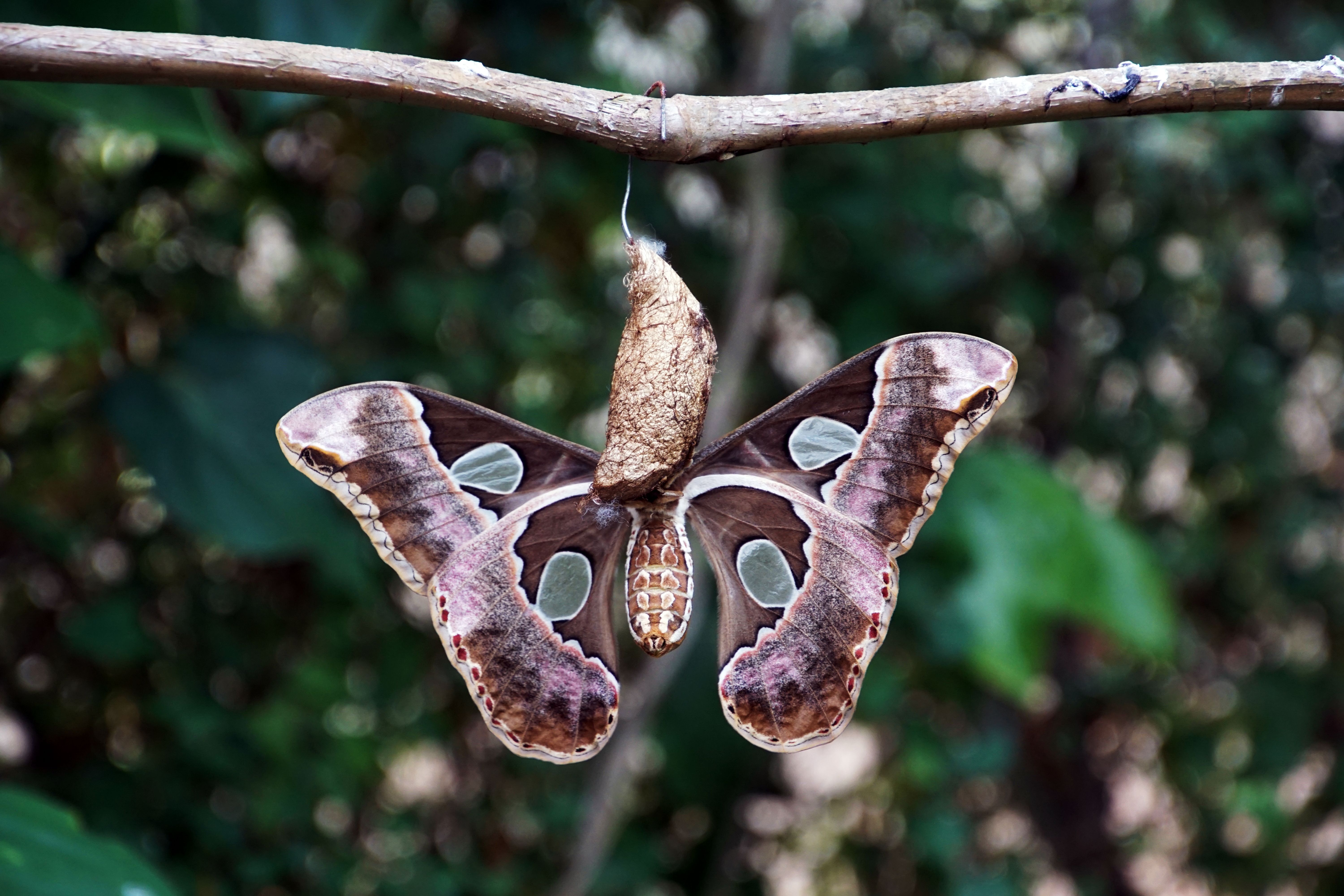 How Hypnosis and Mental Training Can Calm the Fear of the Unknown