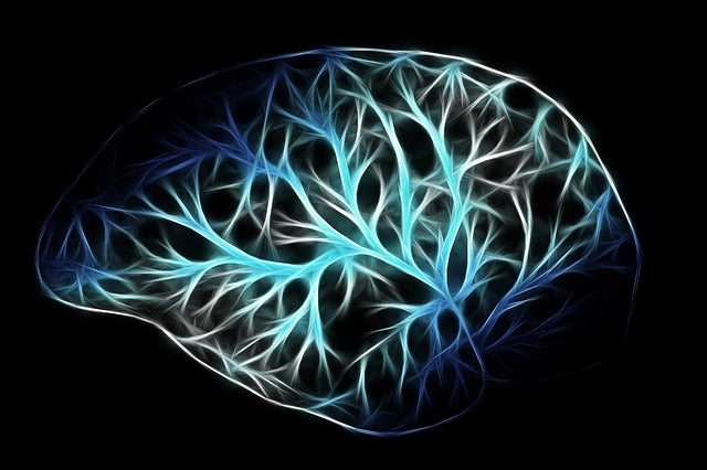 This Is How Brain Waves Contribute To The State of Mind