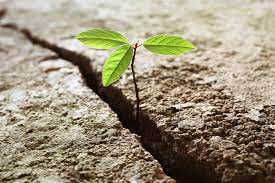 Building Inner Strength: How Mental Training & Hypnosis Foster Resilience in Challenging Times