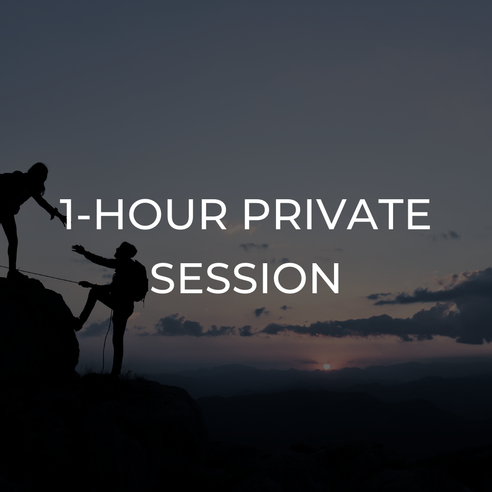 One 1-Hour Private Session Consult or Follow-Up for Returning Clients